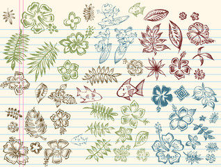 Tropical Summer Sketch Vector Illustration Set