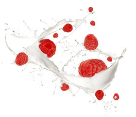 Raspberries in milk splash, isolated on white background