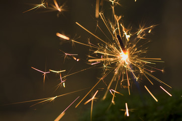 Fototapeta premium Sparkler
