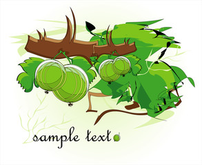 gooseberry decorative background