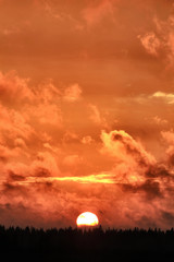 Fototapety na wymiar - Fototapeta24.pl