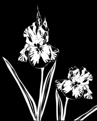 Papier Peint Lavable Fleurs noir et blanc bouquet d& 39 iris