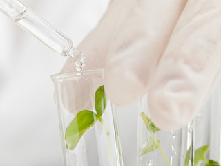 Biology research