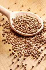 Coriander and wooden spoon