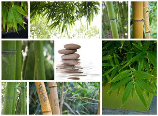 composition zen