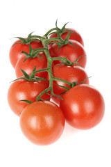 Organic Vine Grown Tomatoes
