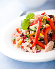 Mixed vegetable salad with tuna