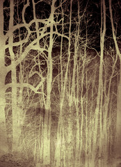 scary forest
