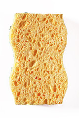 éponge vue de dessus sur fond blanc