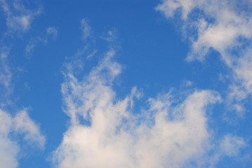 Ciel