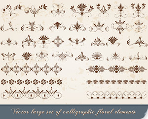 Set of vintage, floral calligraphic design elements