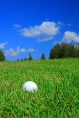 Golf ball on green grass