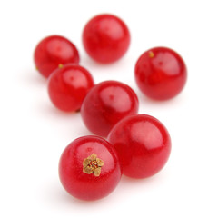 Heap of currant