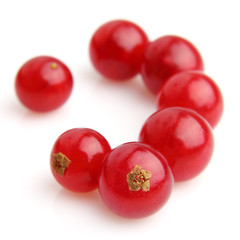 Ripe currant