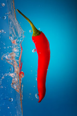 chili pepper is splashing into water - obrazy, fototapety, plakaty