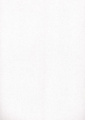 vertically rotated texture paper for pastel white