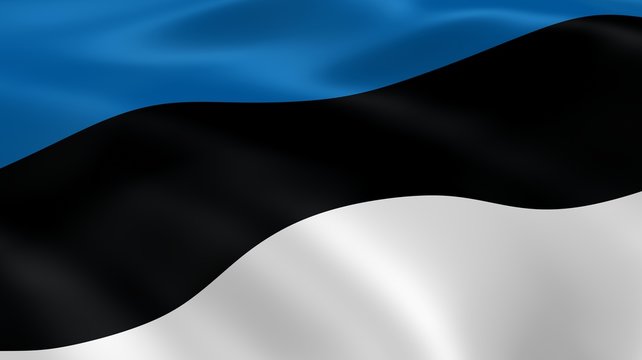 Estonian flag in the wind