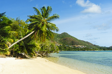 Tropical island