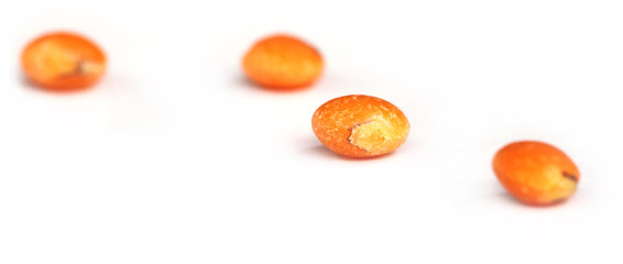 Lentil with selective focus over white background