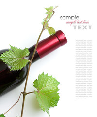 bottle of wine