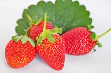 STRAWBERRY