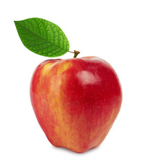 Fresh red apple