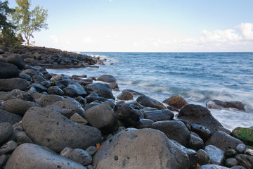 Fototapeta na wymiar côte rocheuse, sud de la Réunion