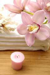 Pink orchid and seashell on towel with towel
