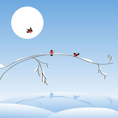 winter