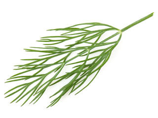 Fototapeta premium Green dill isolated on white background. Studio macro
