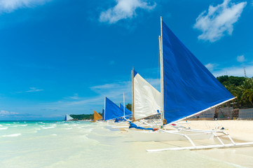 sailing boats