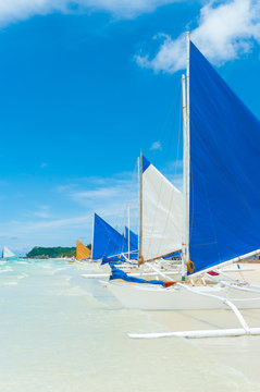 sailing boats