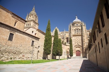 Fototapeta na wymiar street next to Salamanca cathedral