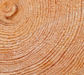 Naklejka premium Wooden background