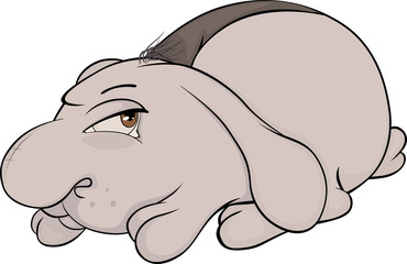 Rabbit.Cartoon