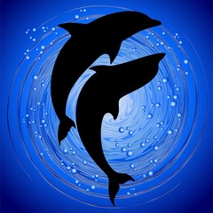 Les dauphins aiment le couple dans l& 39 amour des dauphins bleus en fond d& 39 océan