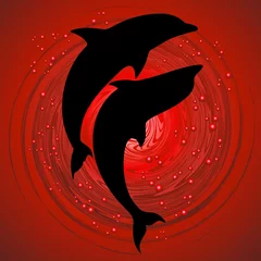 Photo sur Plexiglas Dauphins Les dauphins aiment le couple en rouge- Les dauphins aiment sur fond rouge