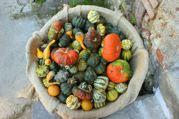 Sacco di zucche striate