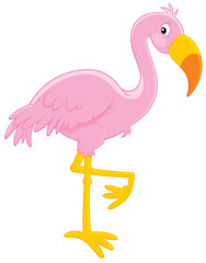 Naklejka premium Pink flamingo
