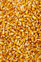 Corn kernels