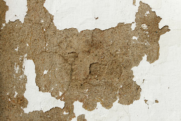Wall.