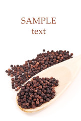 Culinary Peppercorn Spice