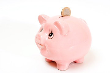 pink pig money box isolated