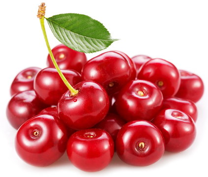 Perfect sweet cherries with the leaf