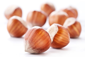 Nuts filberts isolated