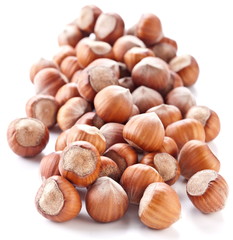 Nuts filberts isolated