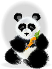 Panda, vector illustration
