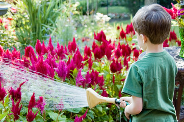 Child watering the garden