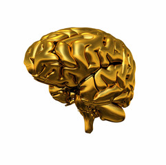 Gold Brain - Halb Rechts