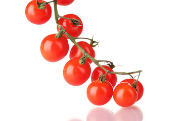 Beautiful cherry tomatoes on a branch isolated on white